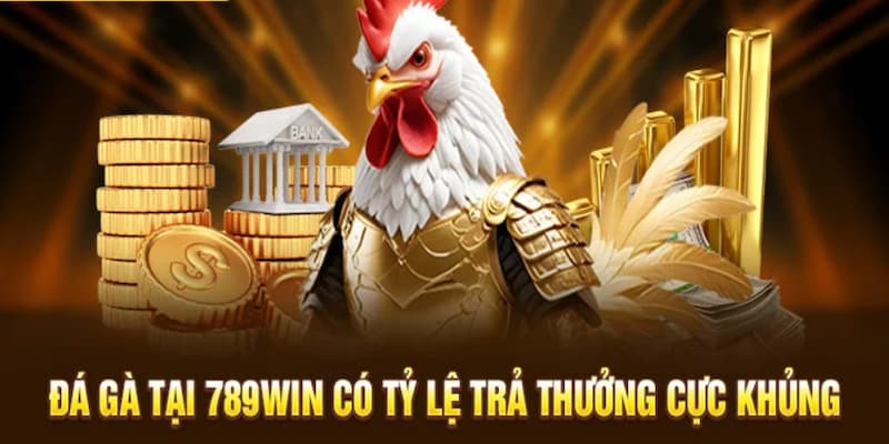 Tổng hợp các ưu điểm giúp các trận đấu kê 789win được săn đón