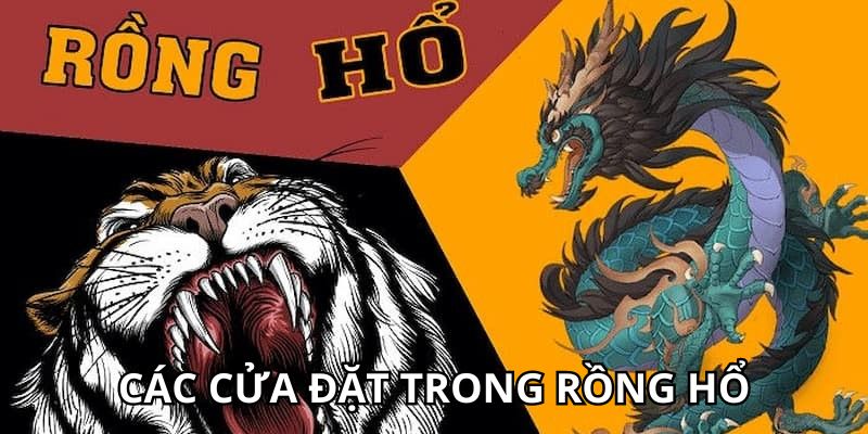 Các cửa đặt Rồng Hổ