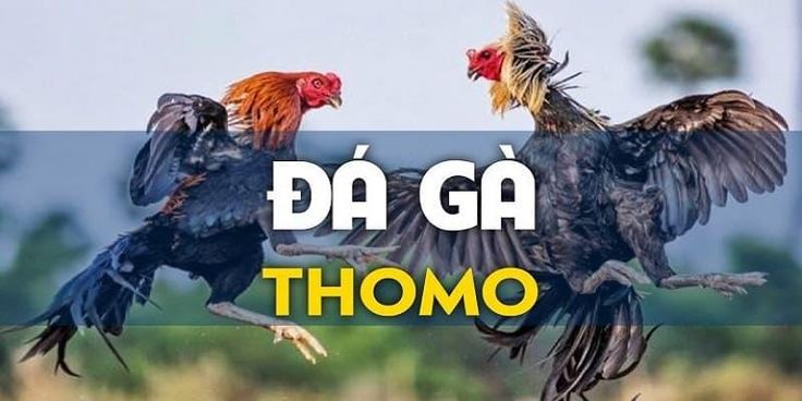 da-ga-thomo-avatar