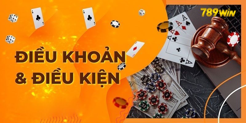 Tổng quan điều nên biết về điều khoản điều kiện