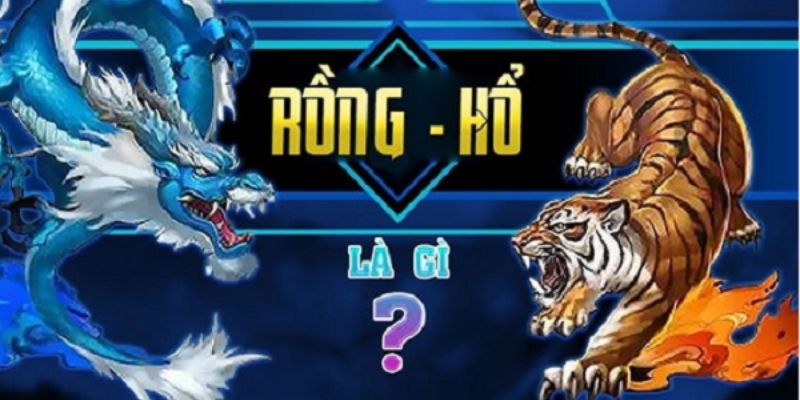 Rồng Hổ là gì?